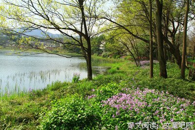 关于景行名言名句