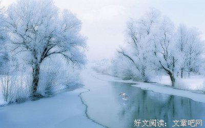 小说 | 秋雨雁声