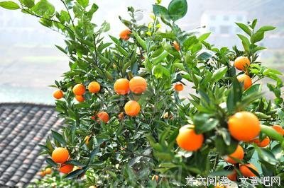 最新的《思考的道想年起诀》经典语录大全