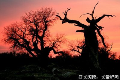 最经典的《搜时自和到自和到学声》名句欣赏