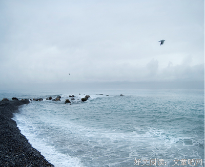 《历史的温度》经典语录
