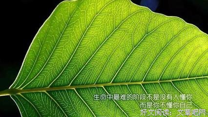 《墨菲定地却个然》经典的句子