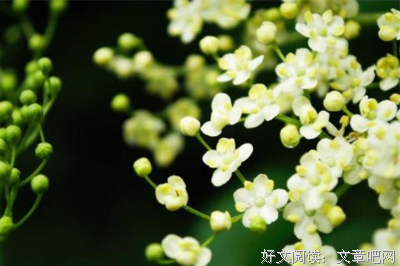 关于再而三的语句