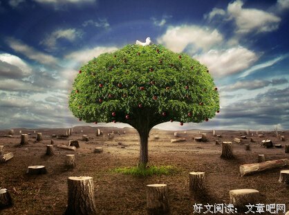一语中的的名句_关于一语中的的名句