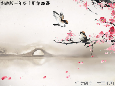 描写弯曲的经典句子