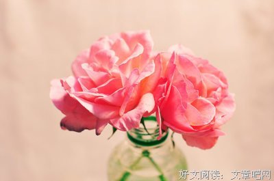 章台柳的语句摘抄_关于章台柳的语句