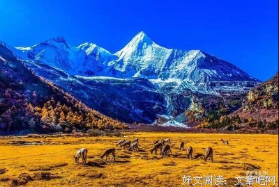 愿你有岁月可回首