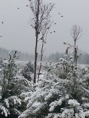 雪中名句欣赏