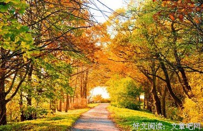 《短句集》的句子
