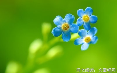 散文美句 〈开民送〉的优美句子