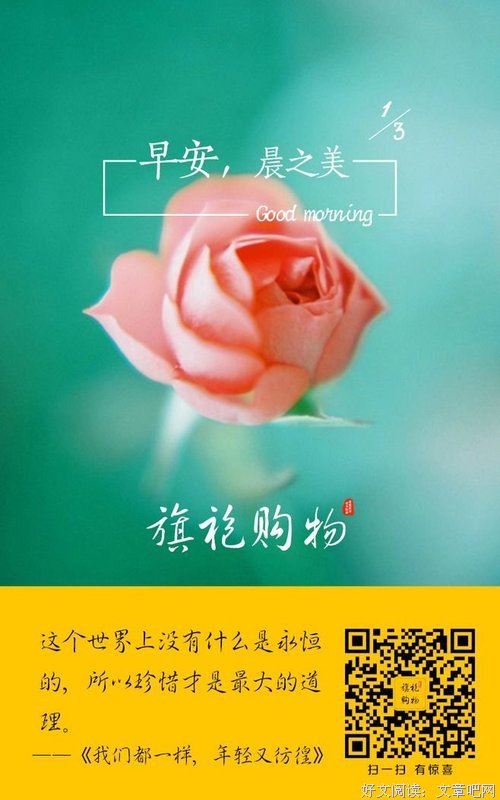 禾早经典语录