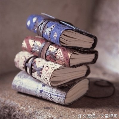 苏岑经典语录