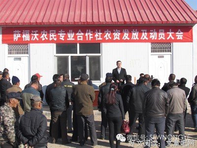 有关萨福名言大全