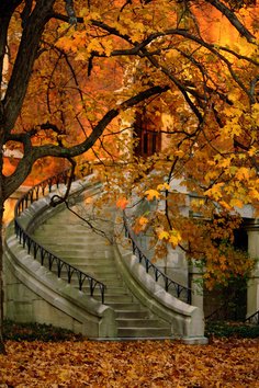 最新的葛洪座右铭