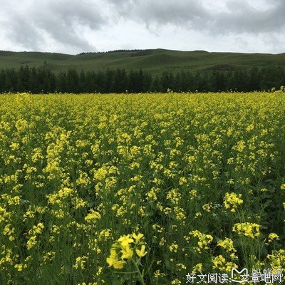 像蚂蚁一样工作，像蝴蝶一样生活（上）