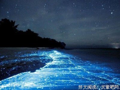 最经典的《我是大玩家》经典句子