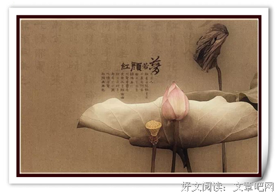 最全的《万物皆有欢喜处》经典语句