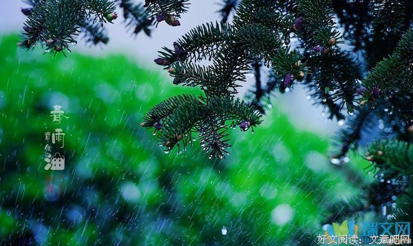 《雨鼓》小说句子大全