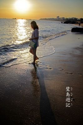 最新的《一剪宋朝的时光》好段摘抄