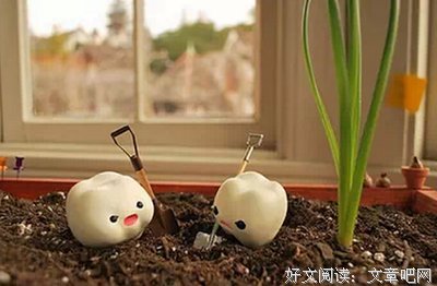 最新的《岛》语录摘抄