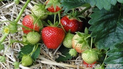 最新的《中庸》经典的句子