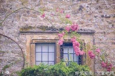 最经典的《人生》小说句子大全