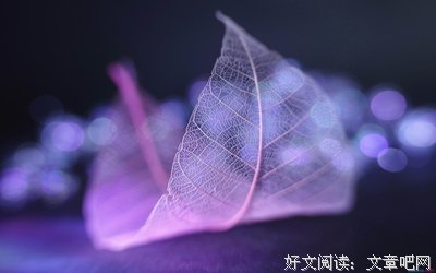最全的《内心》好段摘抄