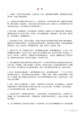 最新的《喃喃》好段摘抄