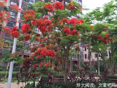 最全的《天擎》经典的句子