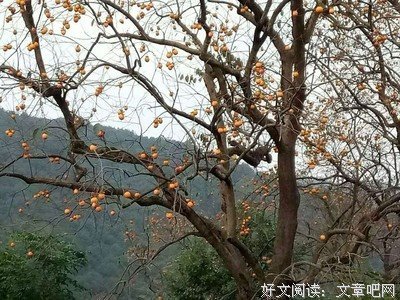 最新的《左传》经典语句