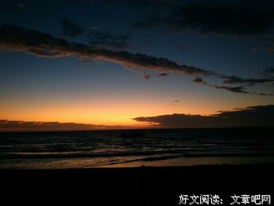 《流浪》的句子