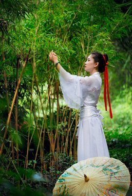 关于古风雅韵，情殇羽存。的句子
