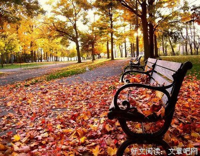 关于流年的优美句子