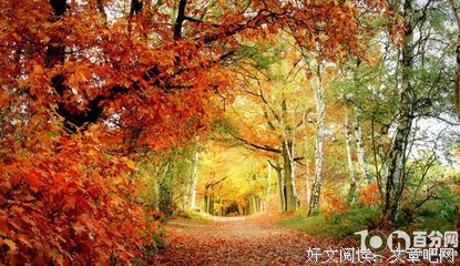 关于第一眼中的句子