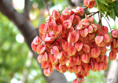 自再物上是我的谎言经典的句子