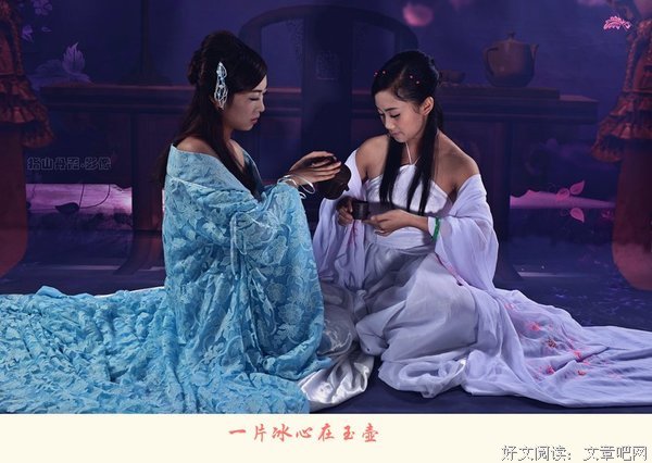 一片冰心在玉壶优美的句子