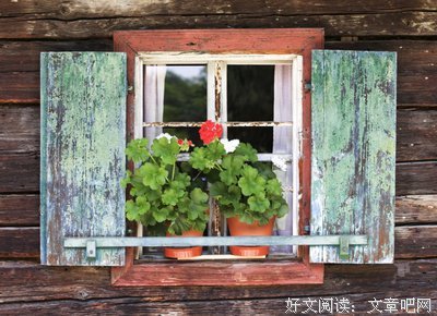 关于吴淡如名言