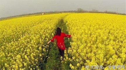 有关余秀华的名言