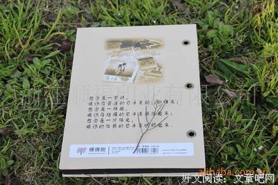最全的《想念》散文美句大全