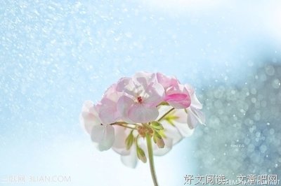 《求败》经典语录大全