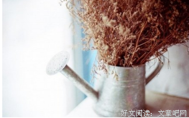最全的《独白》小说句子