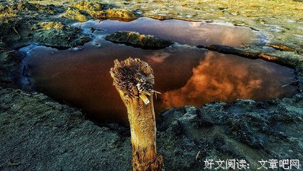 最经典的《眠空》佳句摘抄