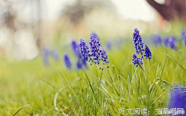最经典的《着魔》小说句子