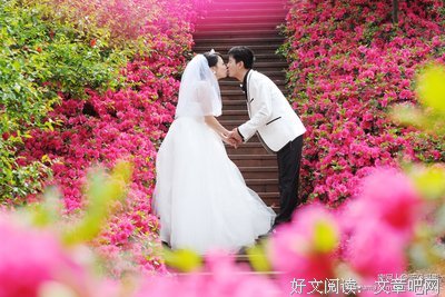 《间客》经典句子