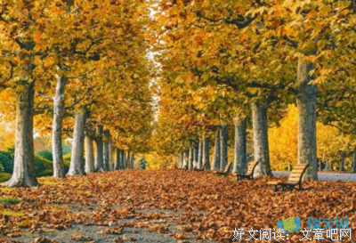 关于日暮途名言名句