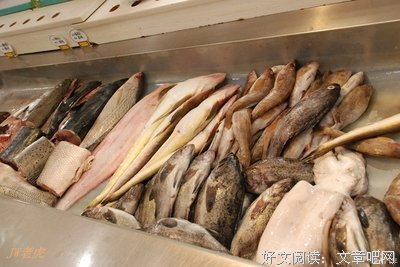 关于悠哉游哉的座右铭