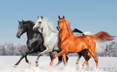 描写马西的经典句子