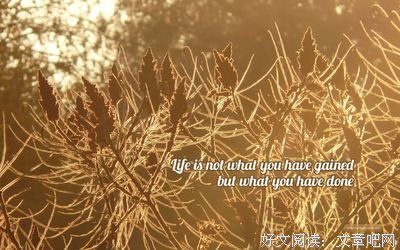 15条关于思痛的经典语句