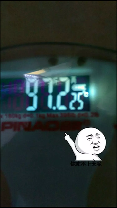 关于晨晨的格言
