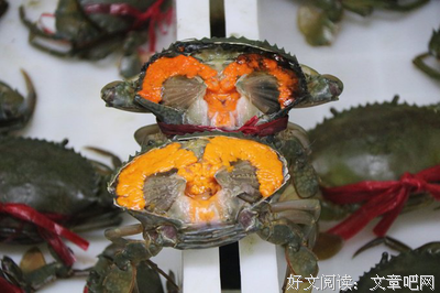 一念成诗 一念成夏